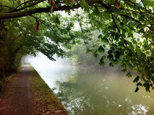 Misty Canal Path